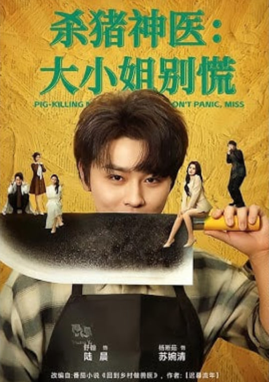 《纸飞机计划》海报